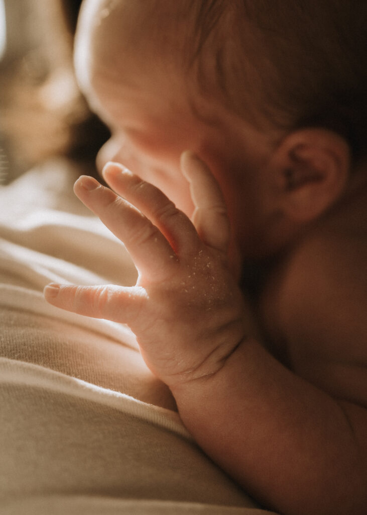 shadows and light cincinnati newborn lifestyle session